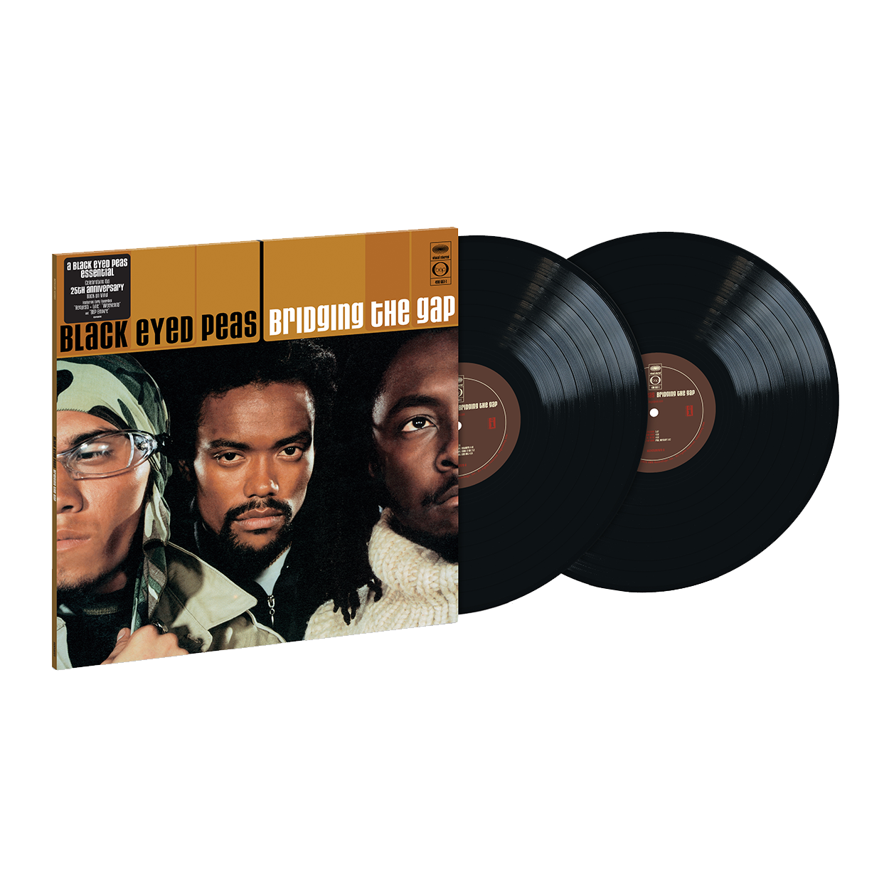 Bridging The Gap: Vinyl 2LP