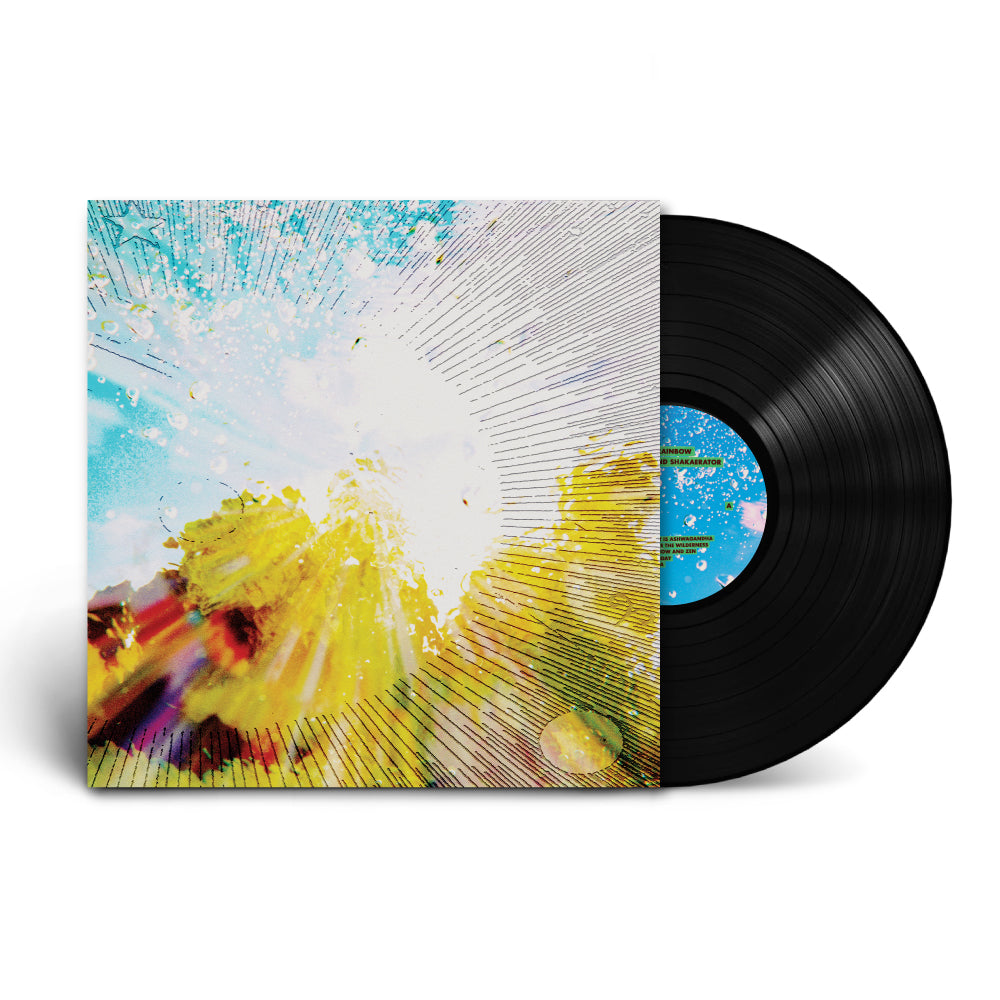 Slipper imp and shakaerator: Vinyl LP