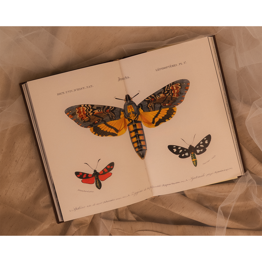 All My Demons Greeting Me as a Friend Book