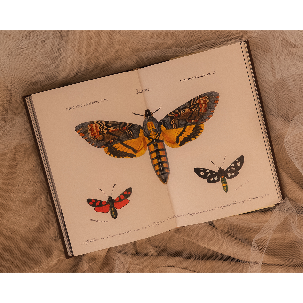 All My Demons Greeting Me as a Friend Book