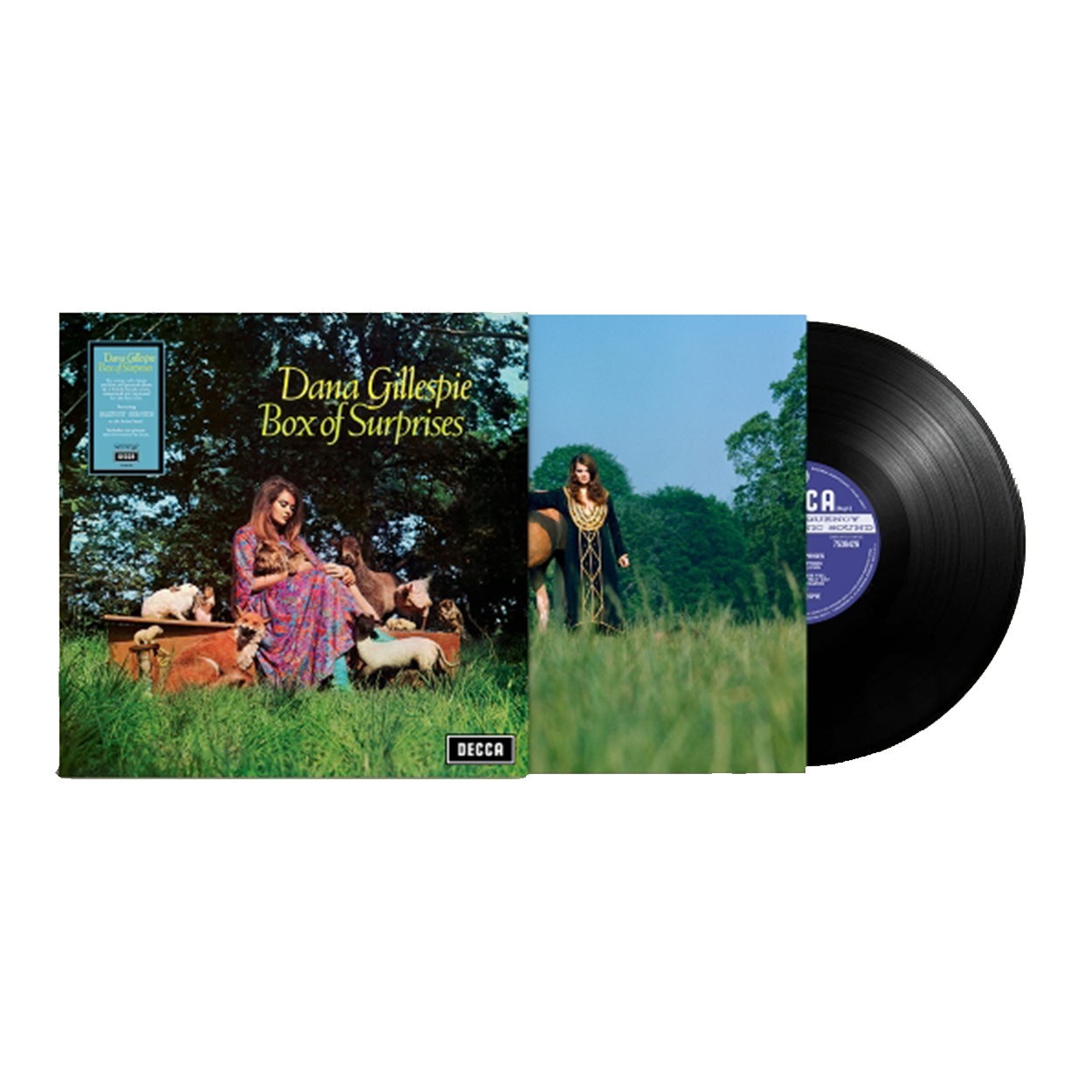 Box Of Surprises (RSD25): Vinyl LP