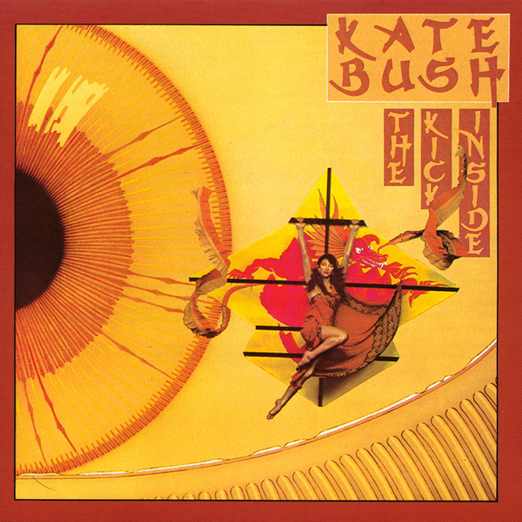 The Kick Inside: Vinyl LP