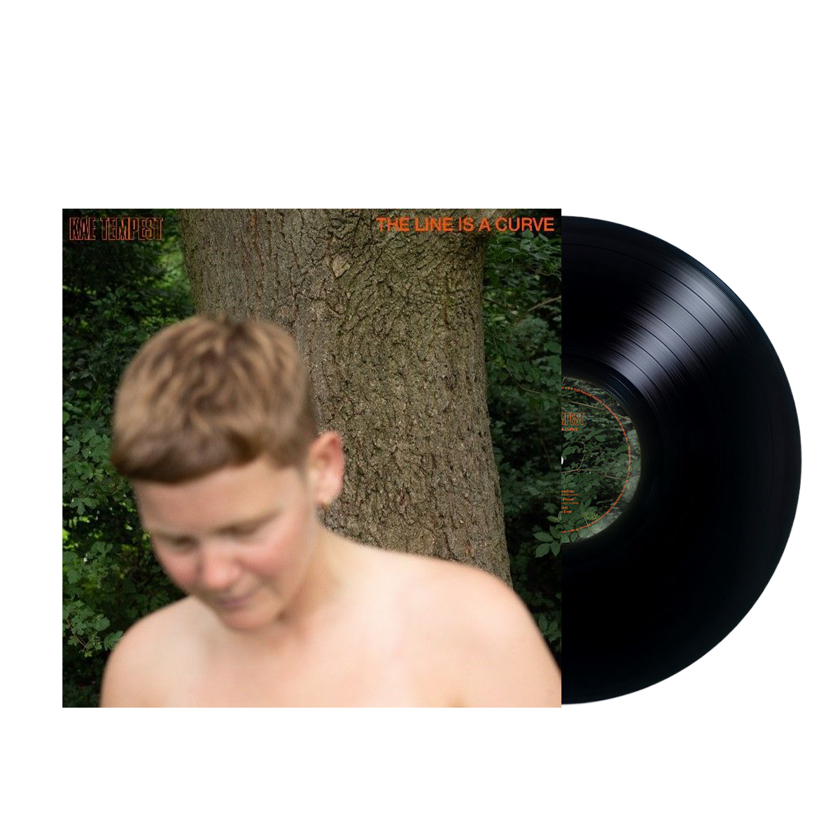 The Line Is A Curve: Vinyl LP