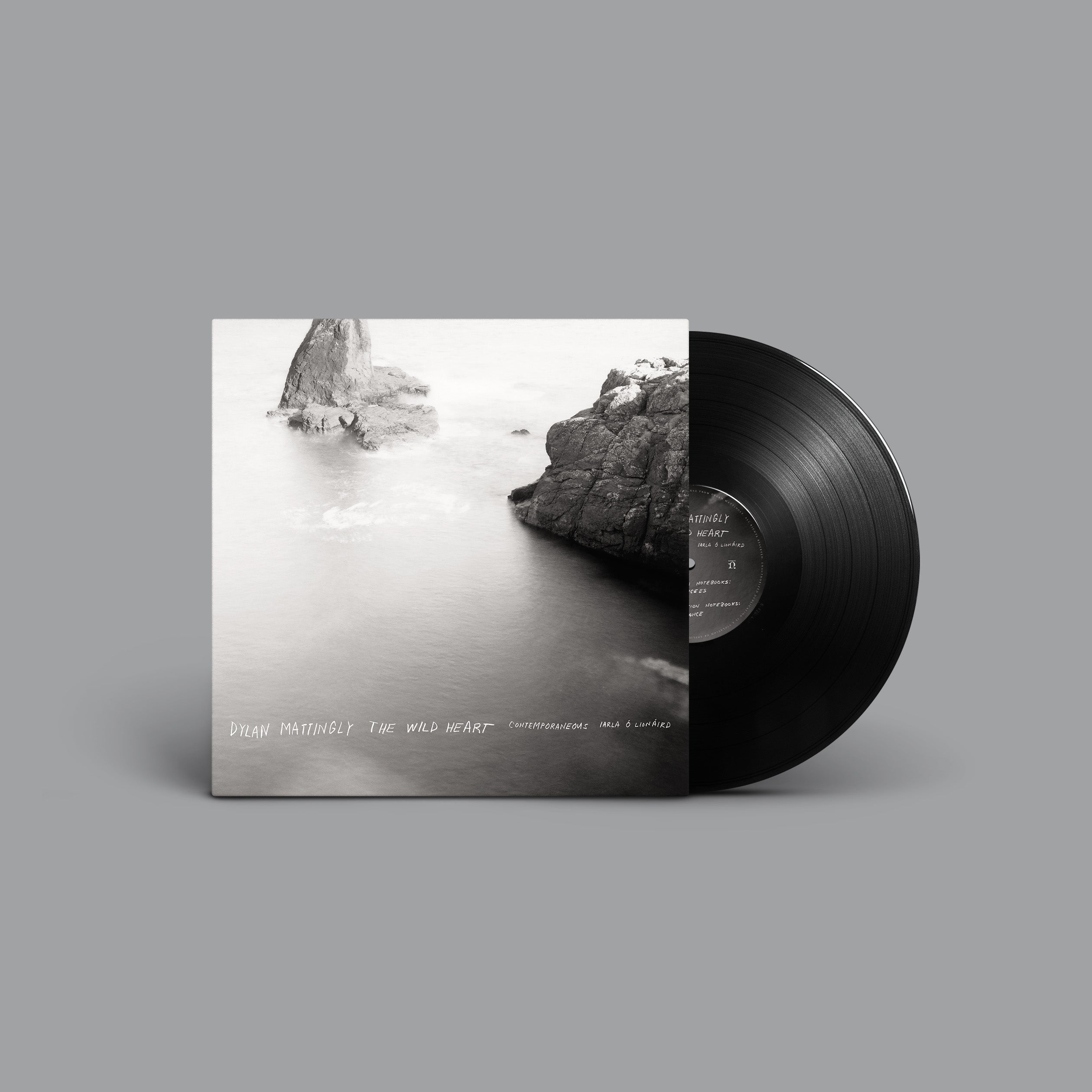 The Wild Heart: Vinyl LP