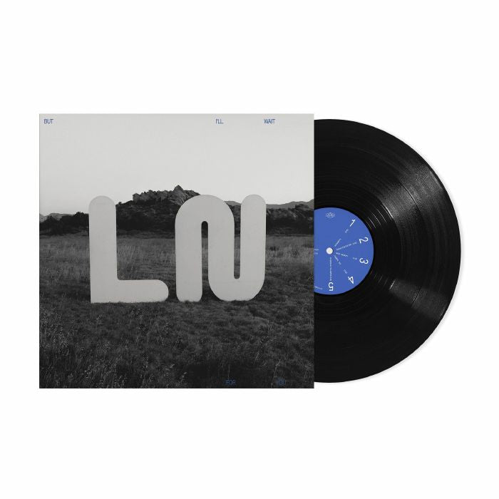 But I'll Wait For You: Vinyl LP