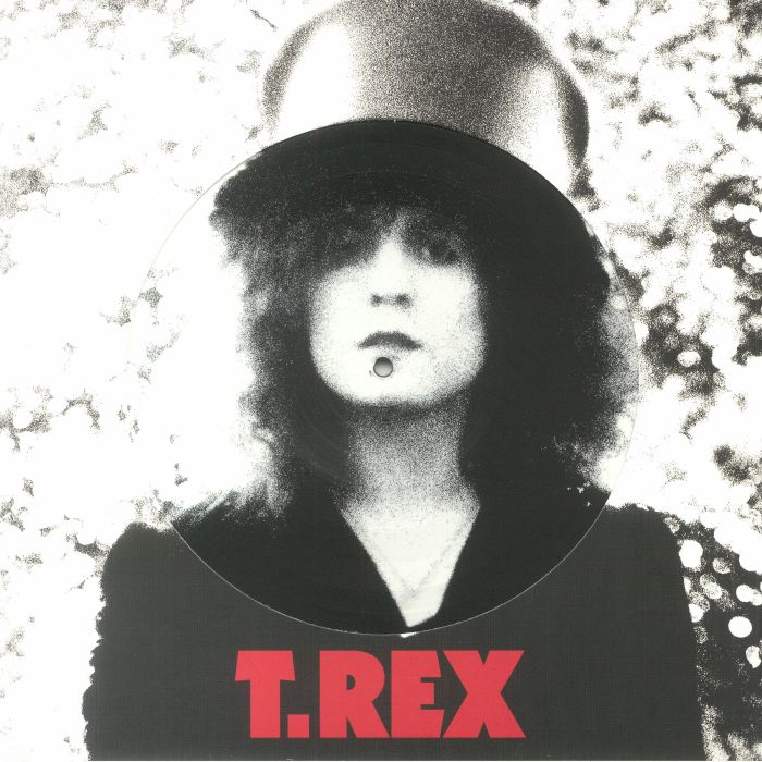 The Slider: 50th Anniversary Vinyl Picture Disc LP