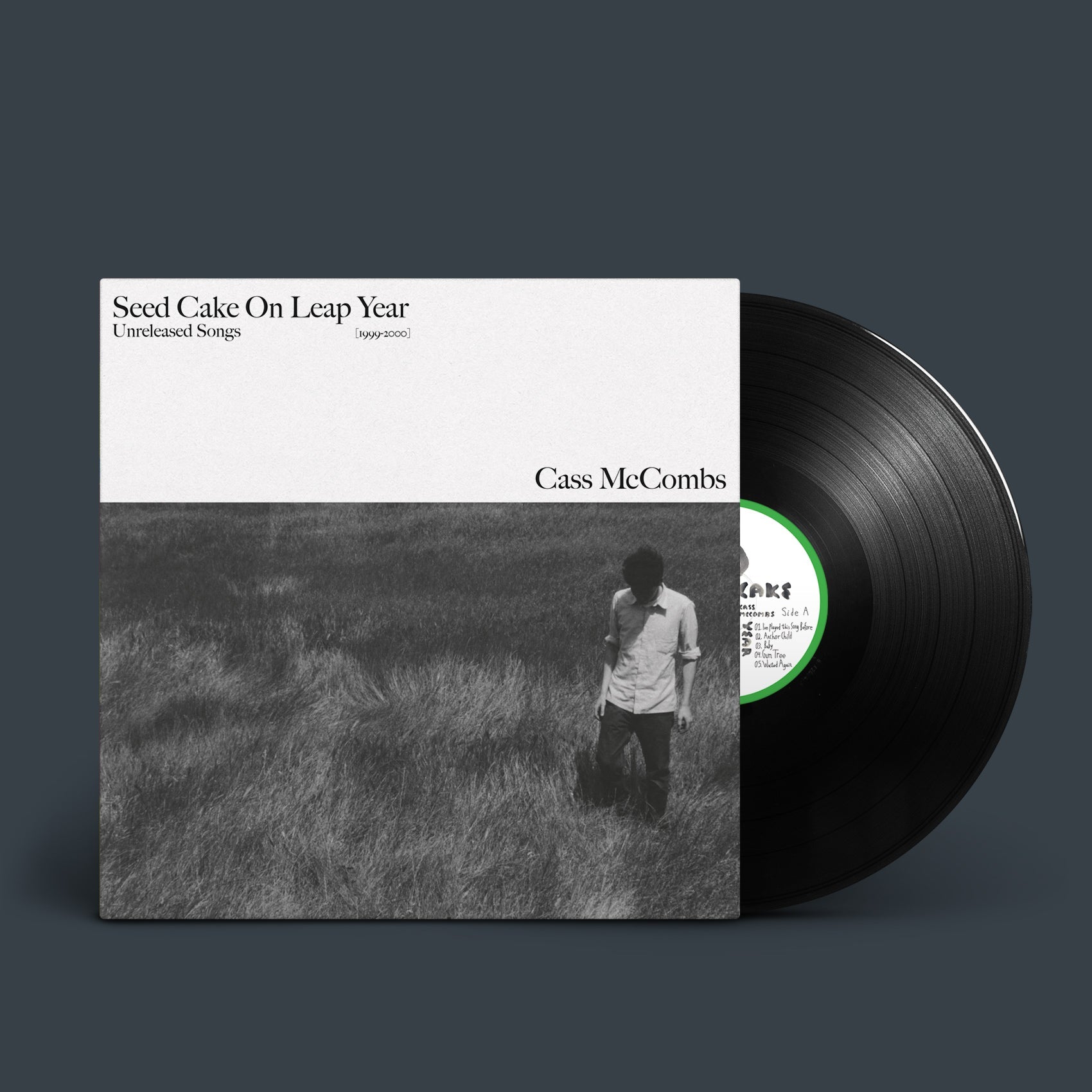 Seed Cake On Leap Year: Vinyl LP