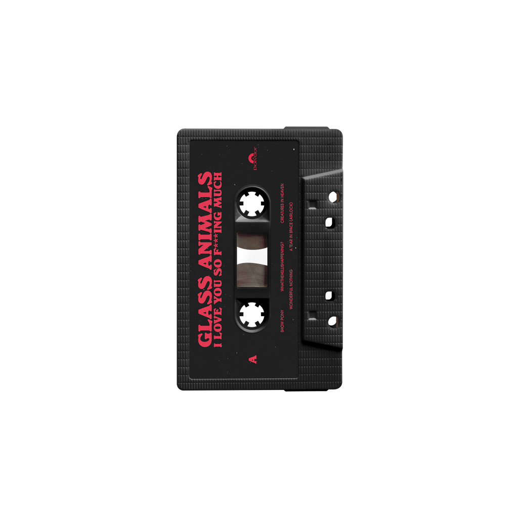 I Love You So F***ing Much: Joe Cassette
