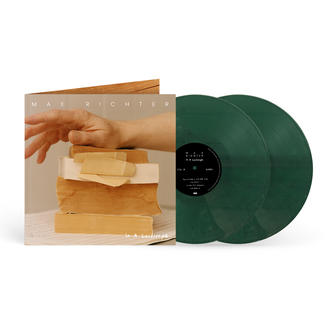 In A Landscape (exclusive) 2LP