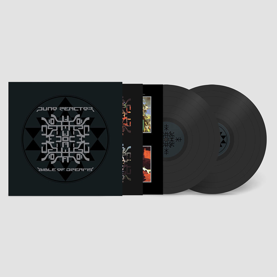 Bible Of Dreams: Vinyl 2LP