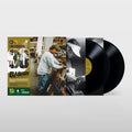 Endtroducing..... (30th Anniversary): Vinyl LP