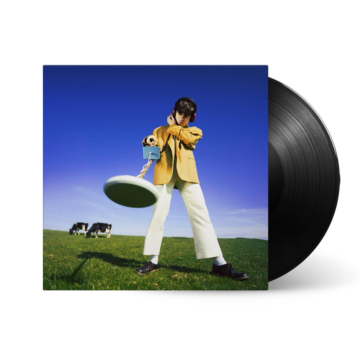 What Happened to the Beach? Vinyl LP