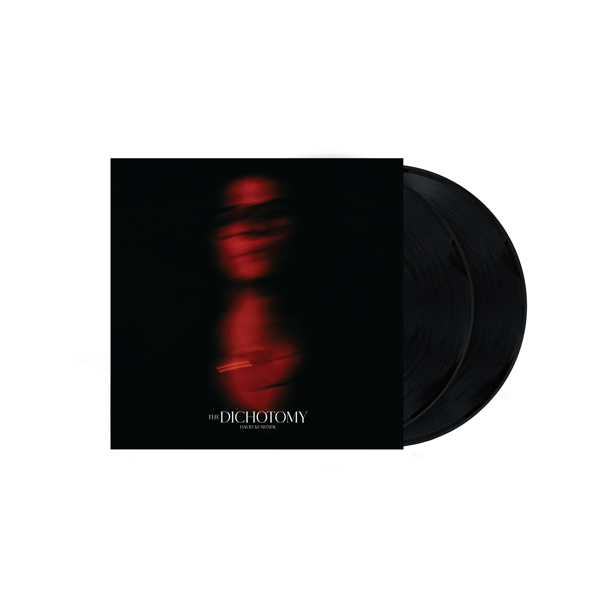 The Dichotomy: Vinyl 2LP
