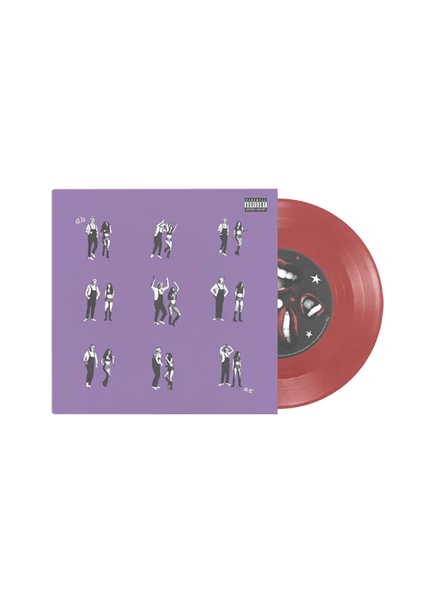 drivers license / burning down the house 7" vinyl