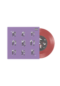 drivers license / burning down the house 7" vinyl