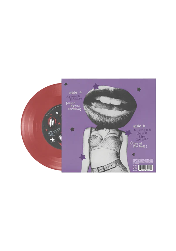 drivers license / burning down the house 7" vinyl