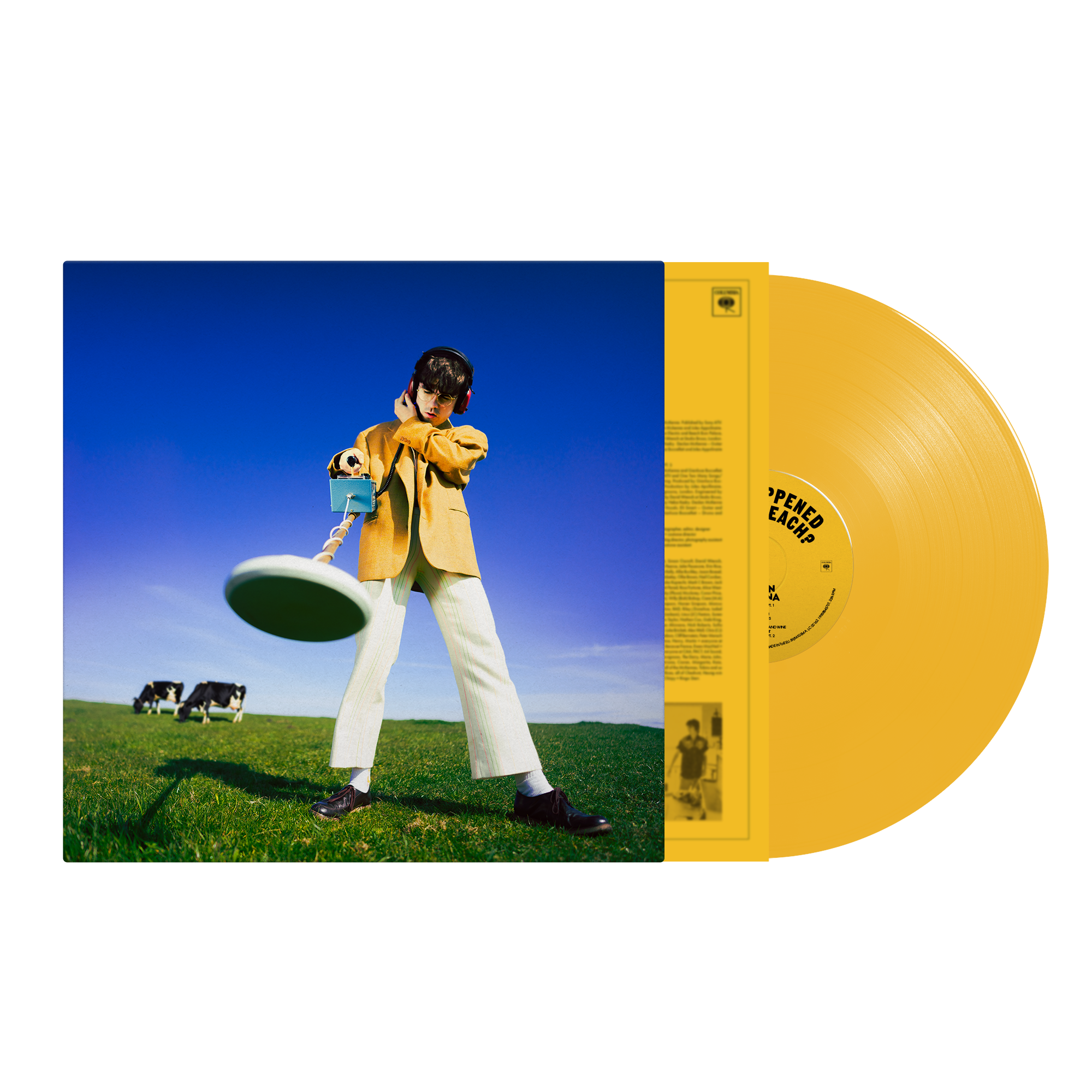 What Happened to the Beach? Limited Sun Yellow Vinyl LP