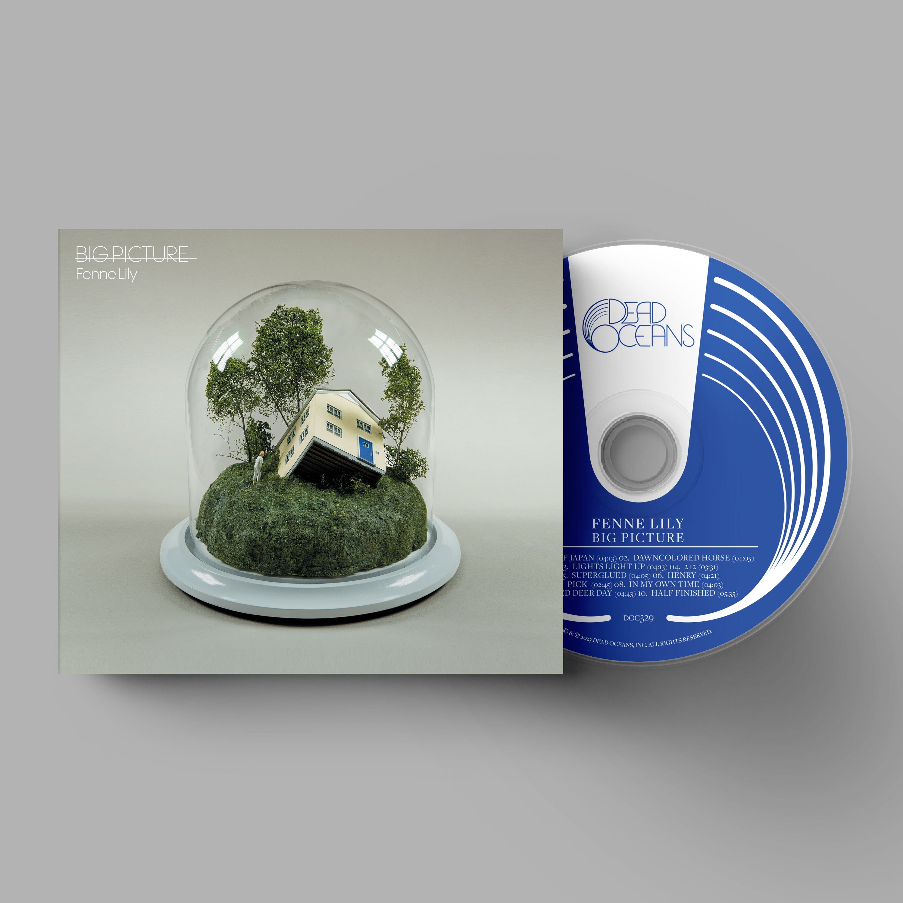 Big Picture: CD