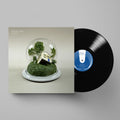 Big Picture: Vinyl LP