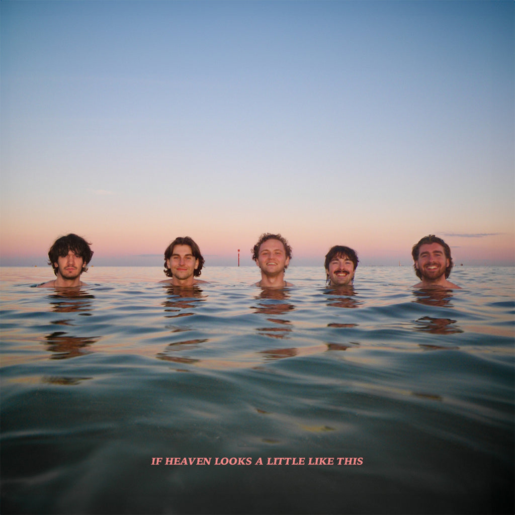 If Heaven Looks A Little Like This: CD