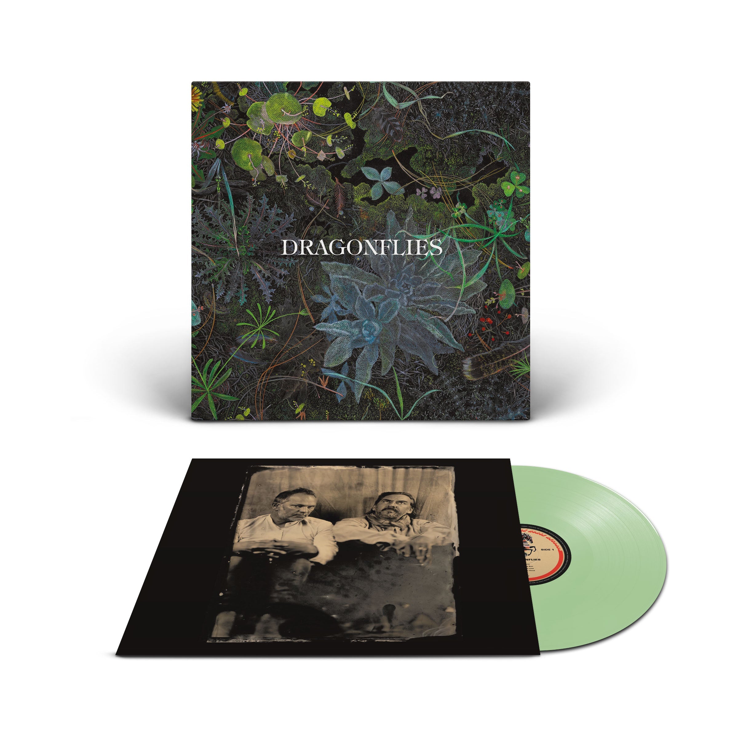Dragonflies: Coke Bottle Clear Vinyl LP