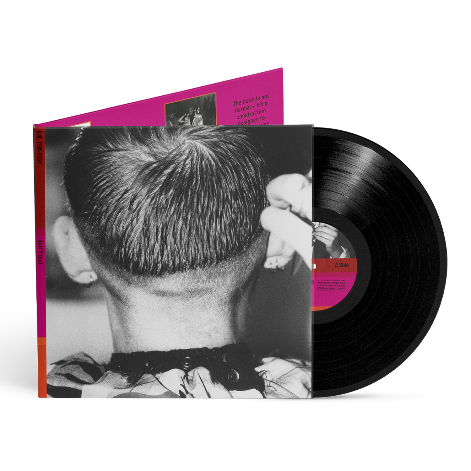 Self Titled: Recycled Black LP