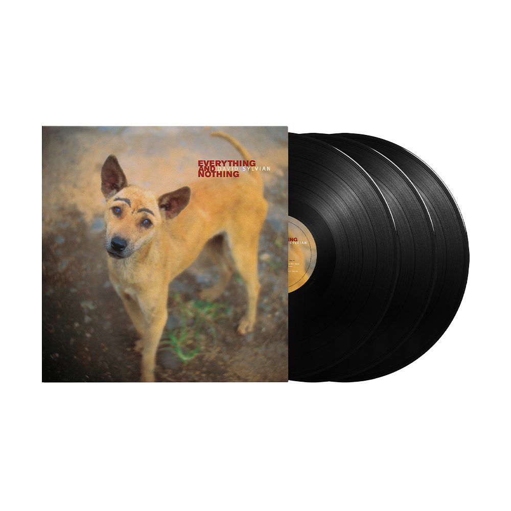 Everything And Nothing: Vinyl 3LP