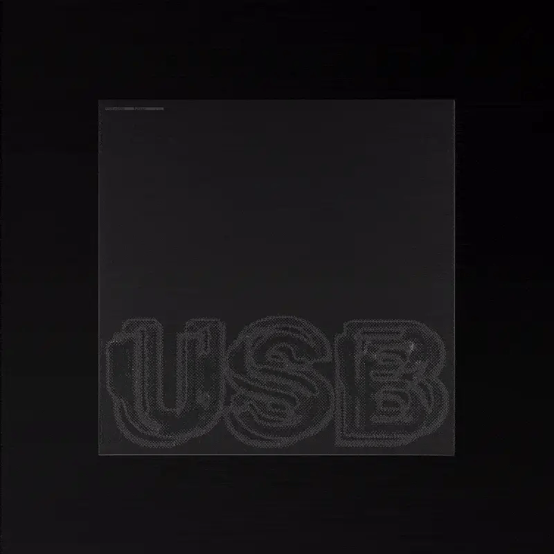 USB: Vinyl 2LP