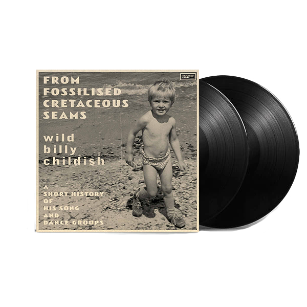 From Fossilised Cretaceous Seams - A Short History of His Song and Dance Groups: Vinyl 2LP