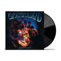 Built To Last: Vinyl LP