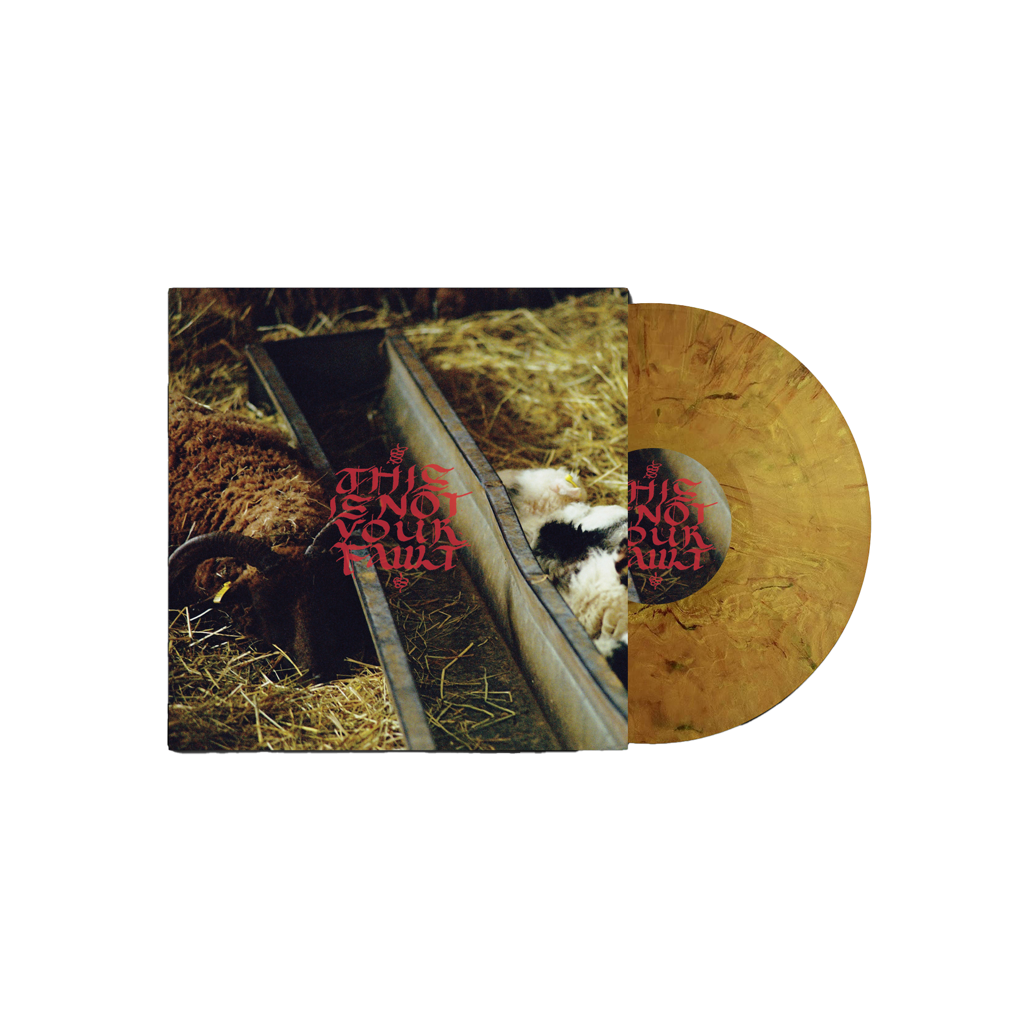 This Is Not Your Fault: Limited Marbled Gold Vinyl LP
