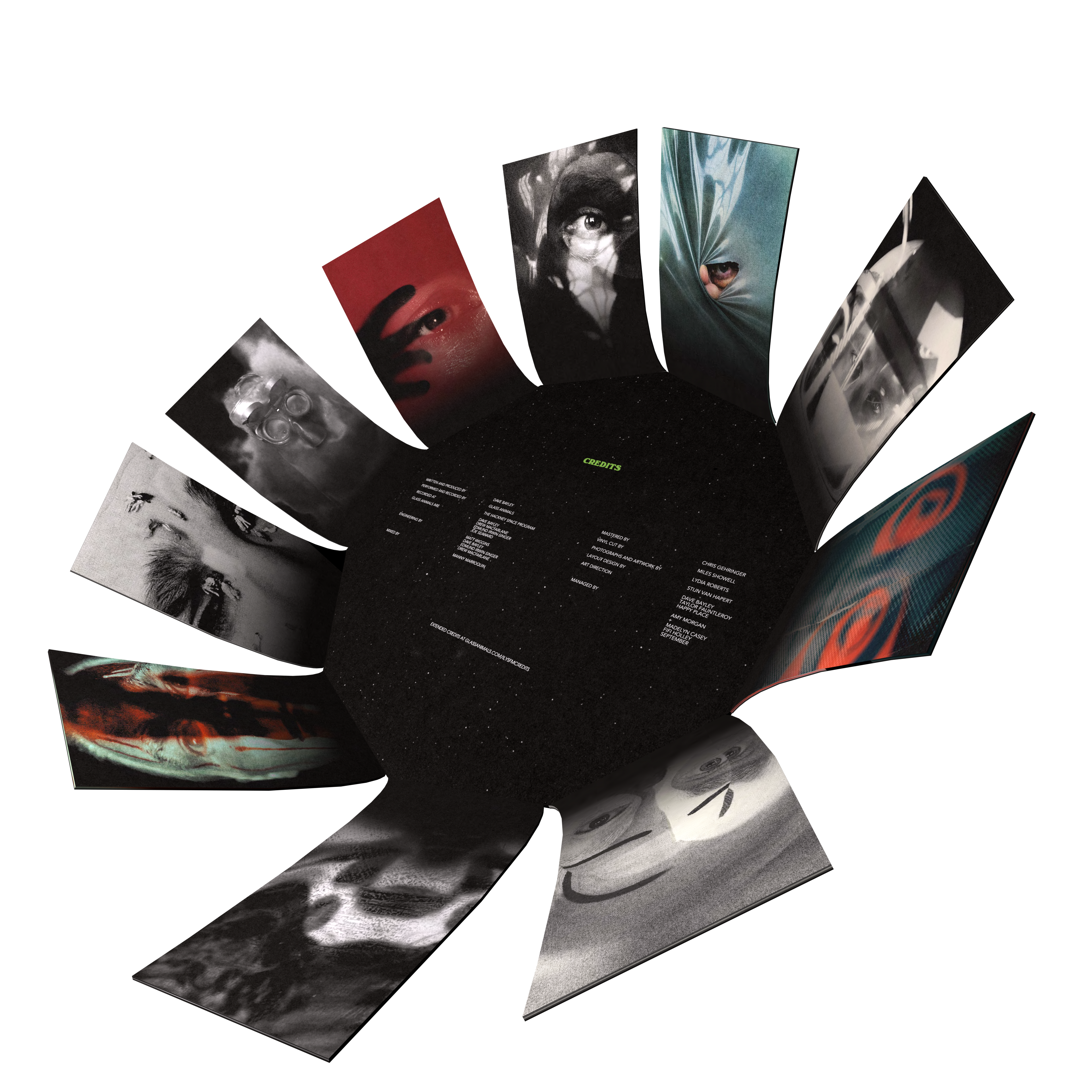 I Love You So F***ing Much: Limited Decagon Vinyl LP + Signed Art Card