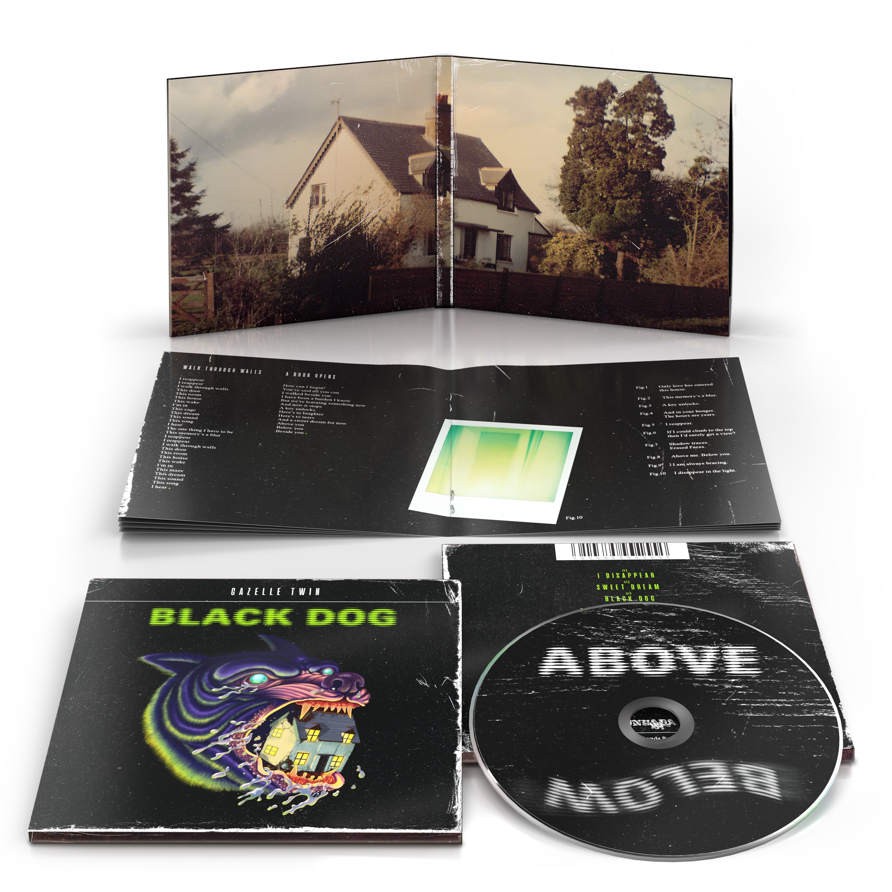 Black Dog: CD