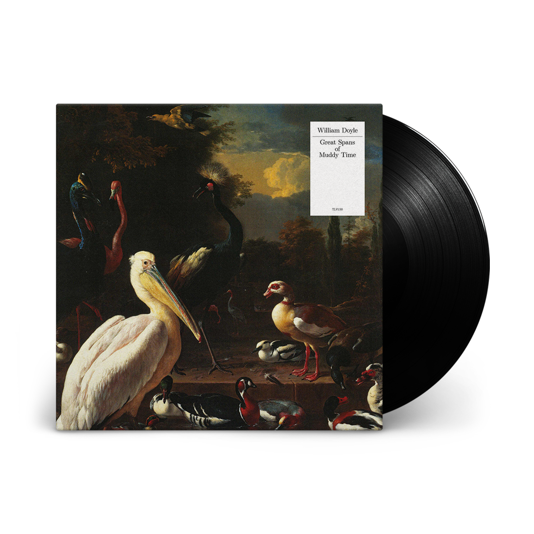 Great Spans of Muddy Time: Vinyl LP