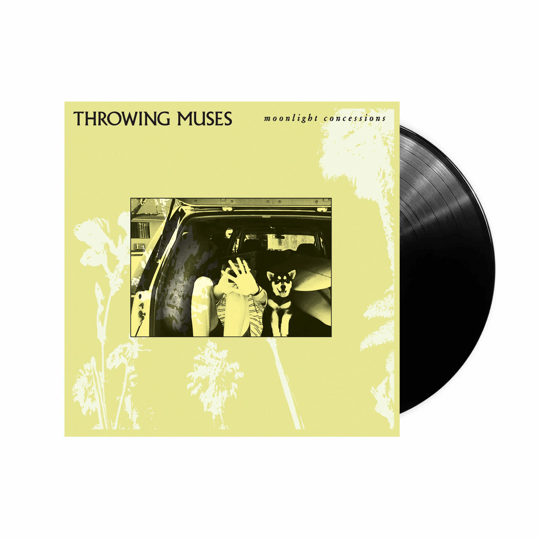 Moonlight Concessions: Classic Black Vinyl LP