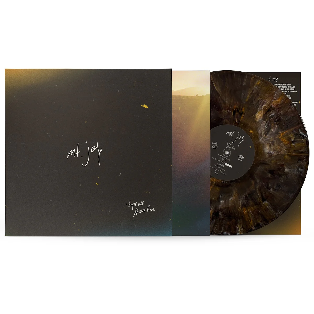 Hope We Have Fun: Limited Coyote Brown Vinyl LP