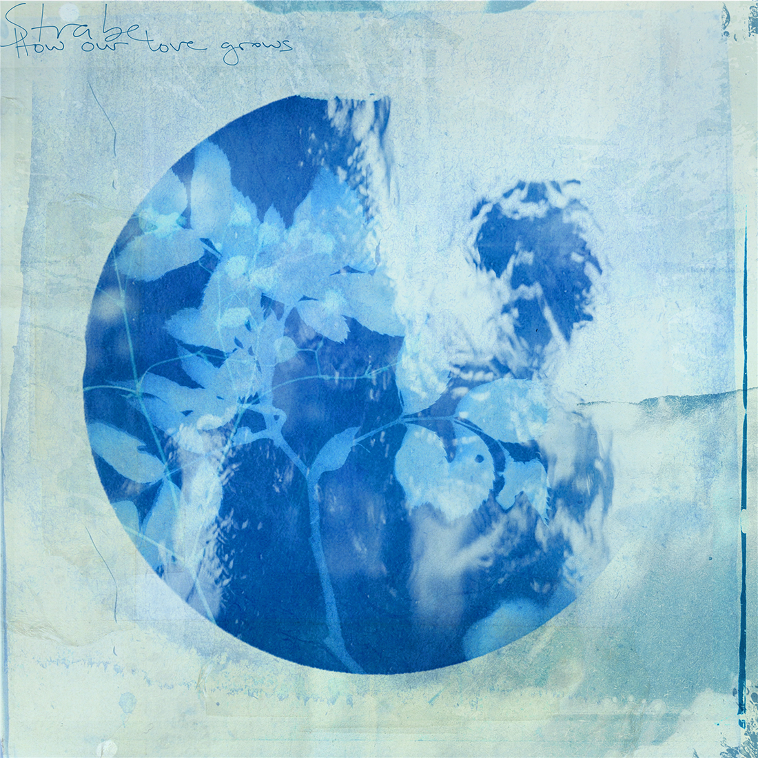 How Our Love Grows: Vinyl LP