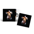 Hyperdrama: Limited Crystal Clear Vinyl 2LP + Exclusive 12x12" Print