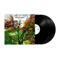 In a Time Lapse 3LP Special Edition