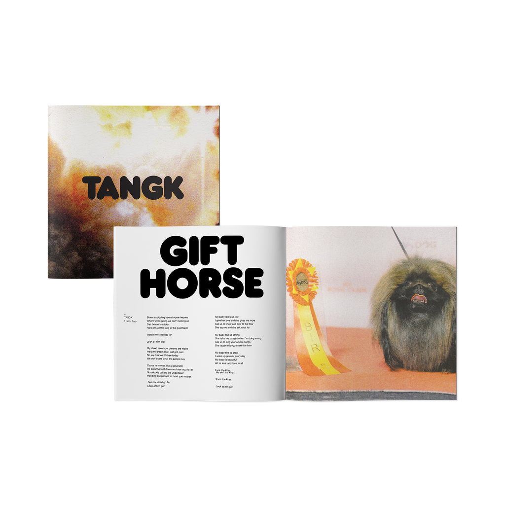 TANGK: Limited Translucent Yellow Deluxe LP