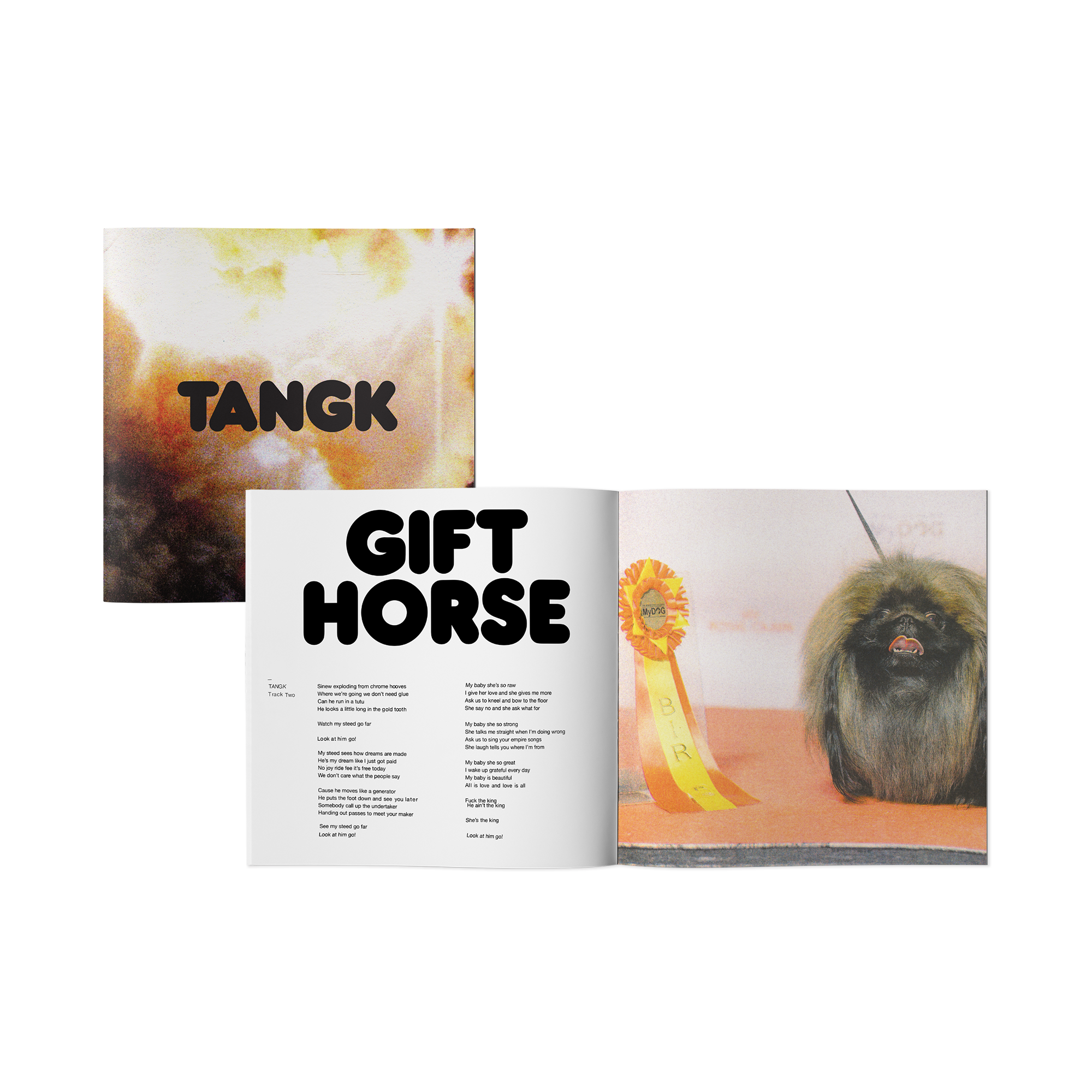TANGK: Limited Translucent Yellow Deluxe LP