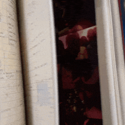 What Happened To The Heart? Book