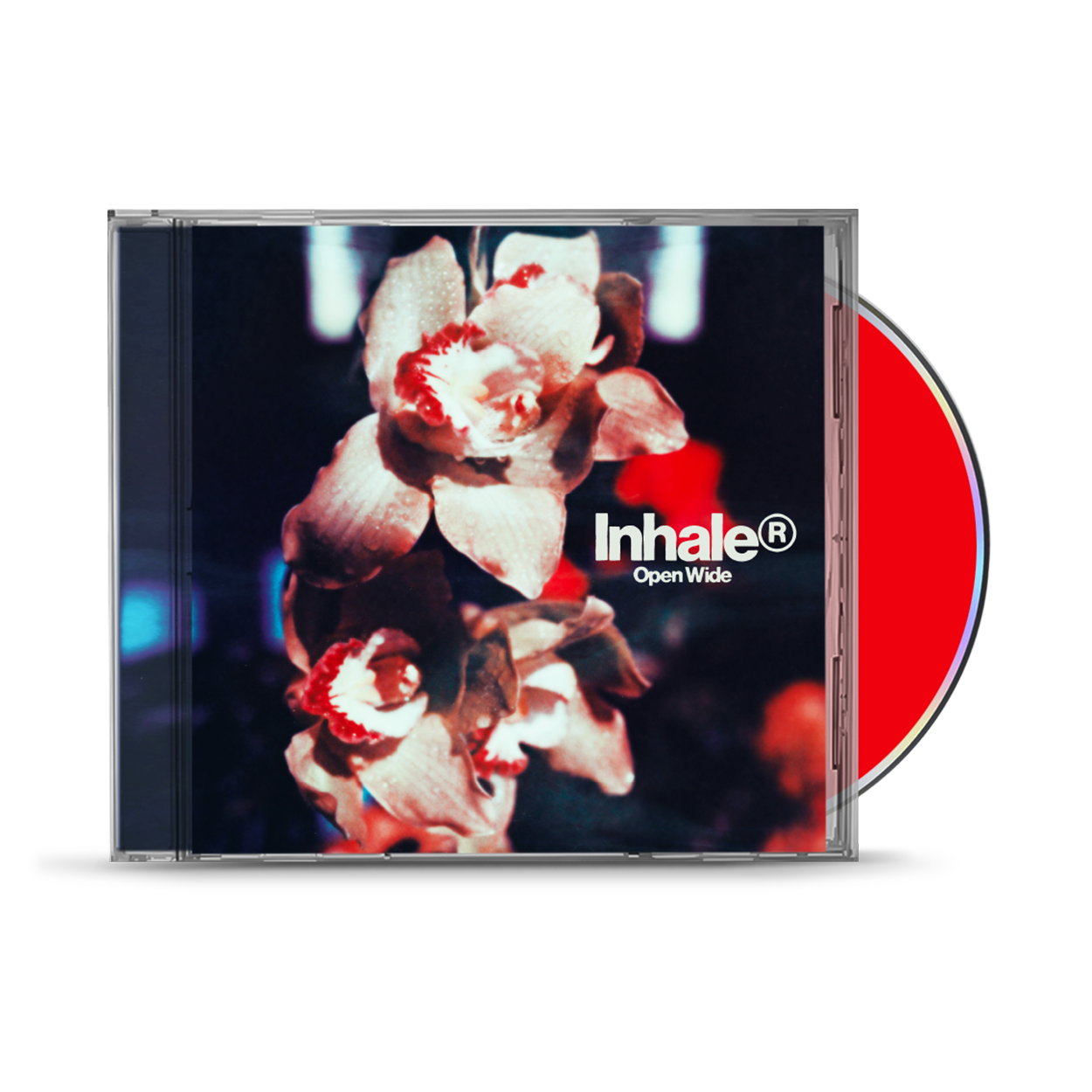 Open Wide Standard CD