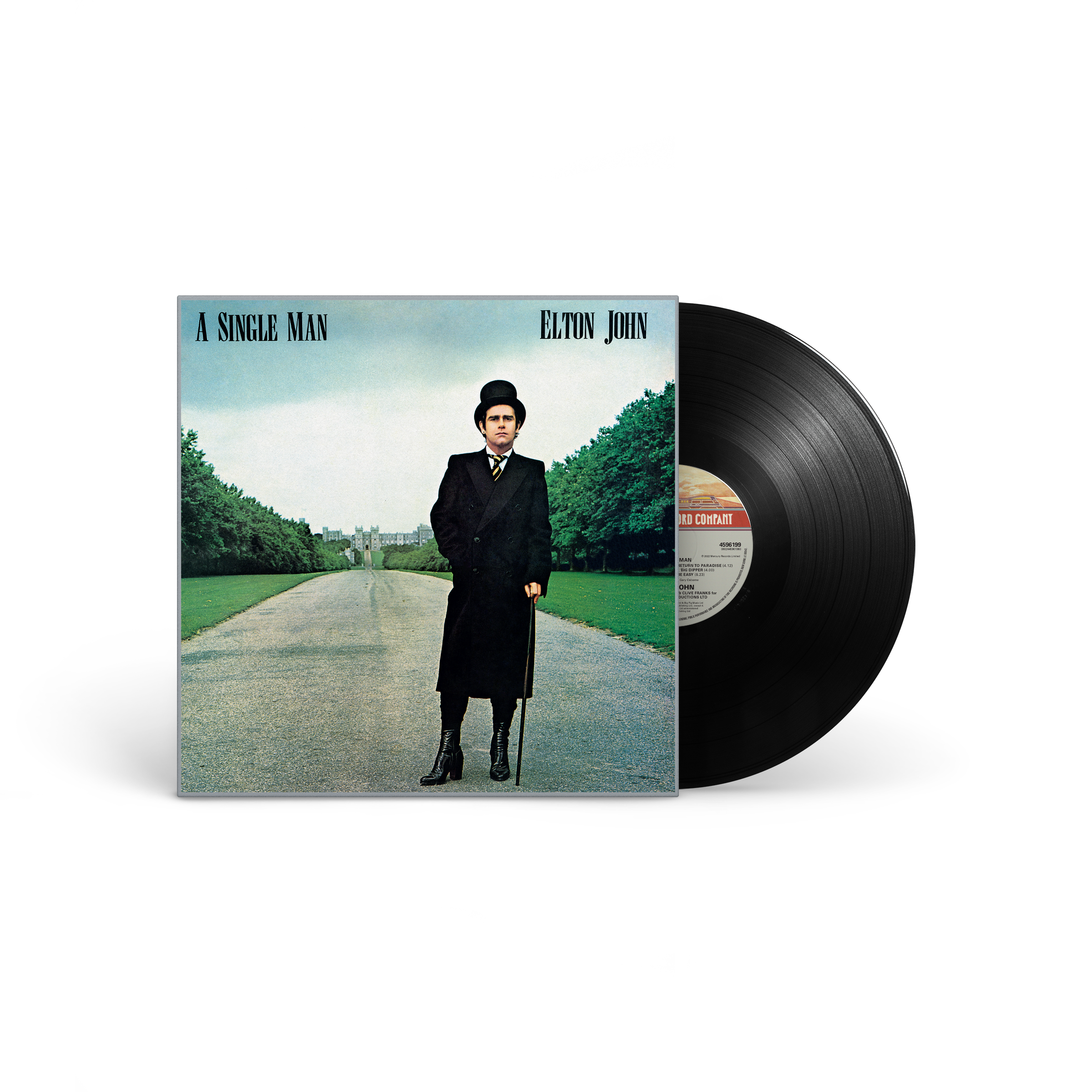 A Single Man: Vinyl LP