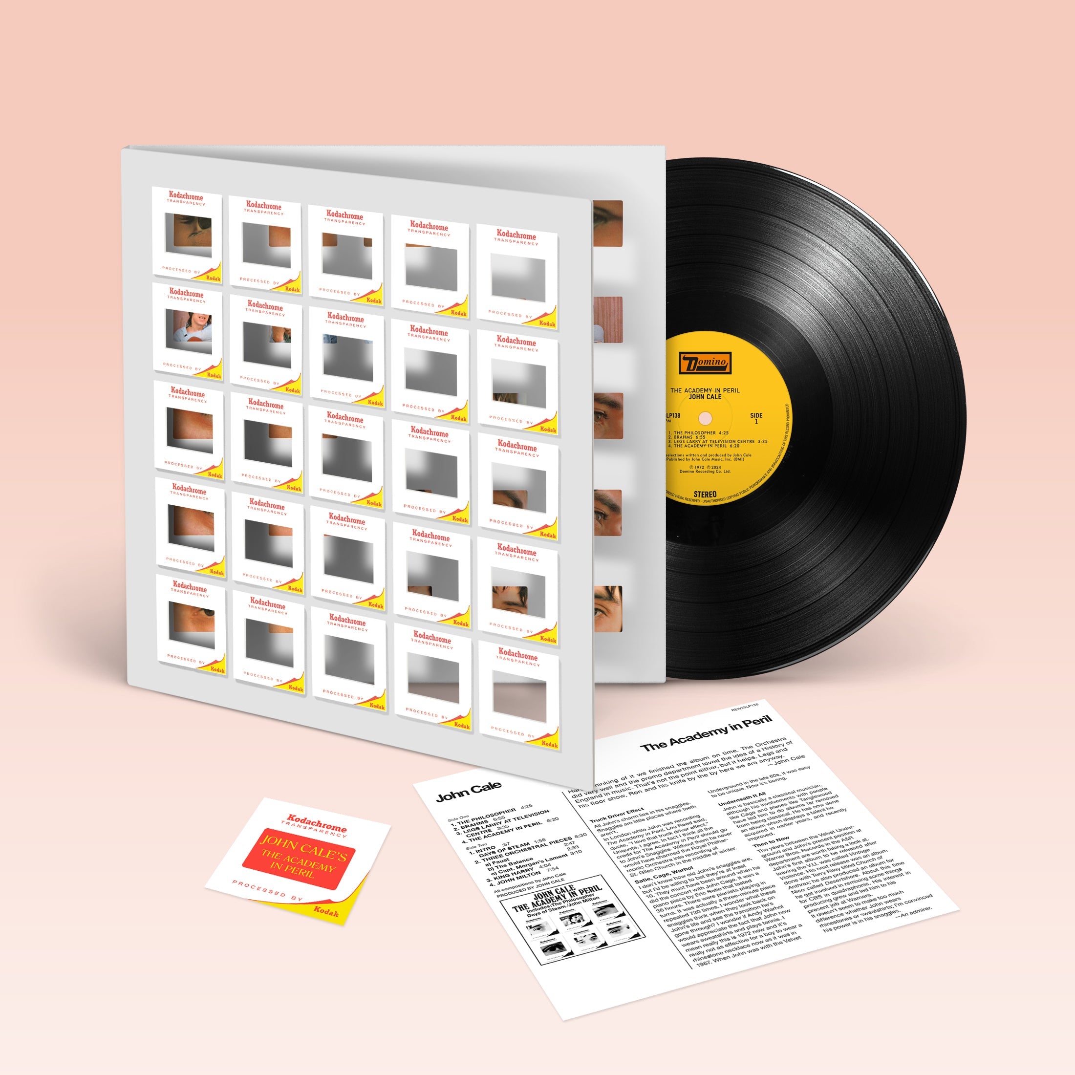 The Academy in Peril: Vinyl LP