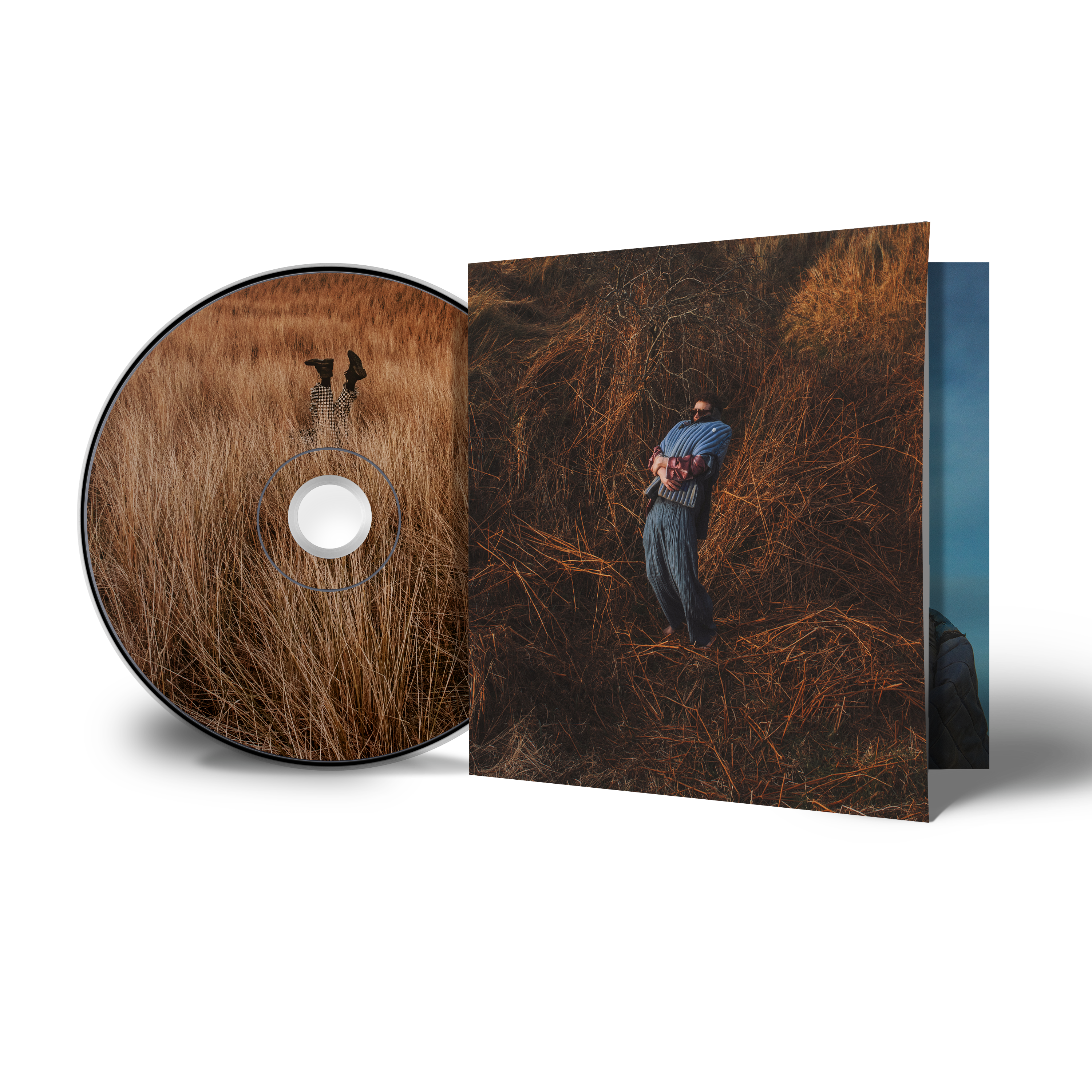 Pillars: CD