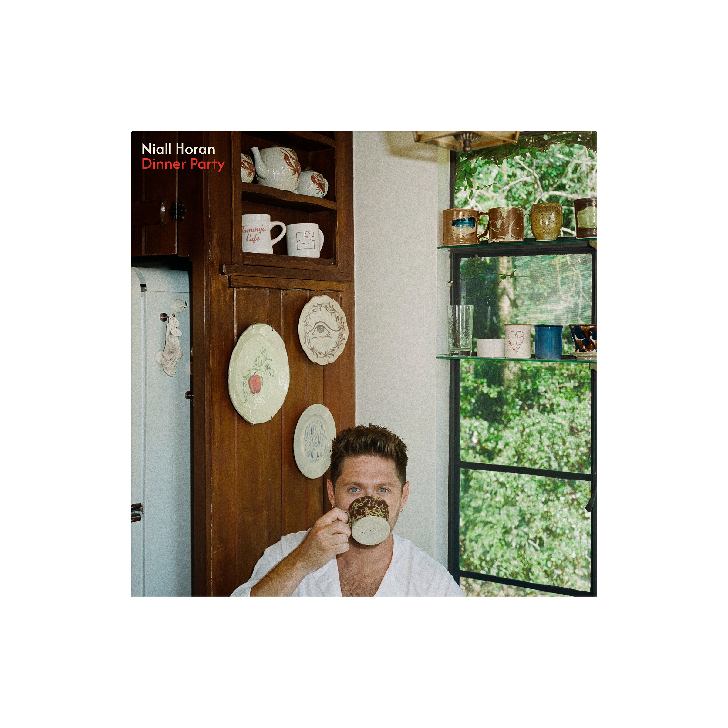 Dinner Party - Porcelain Vinyl