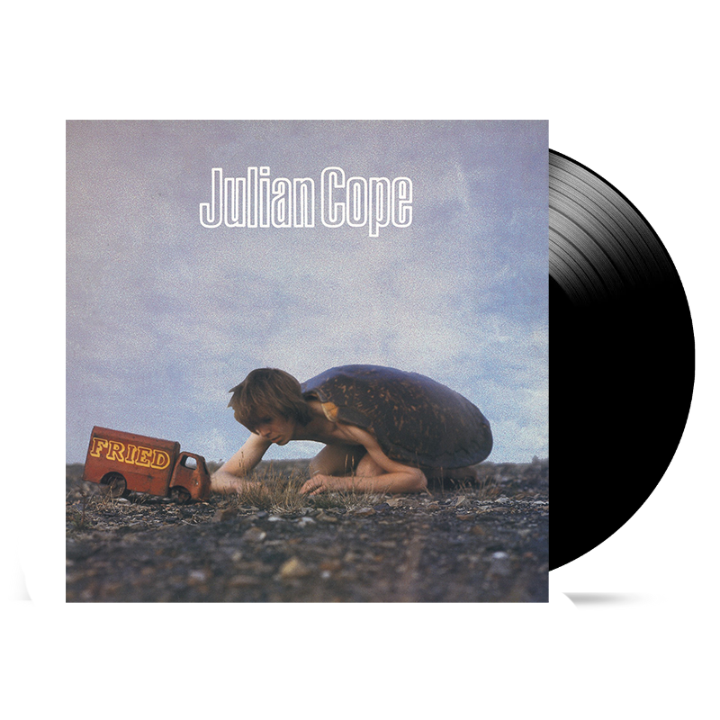 Fried: Vinyl LP