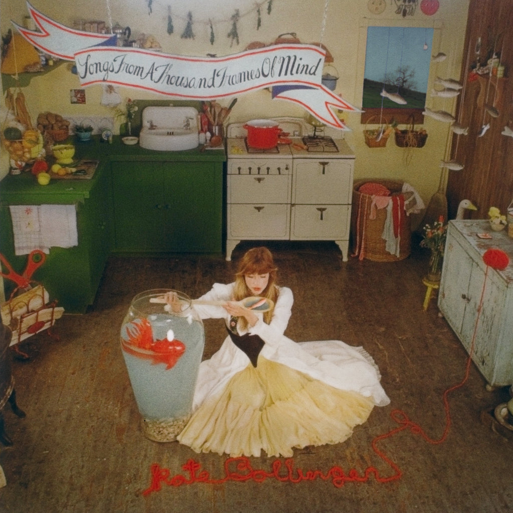 Songs From A Thousand Frames Of Mind: Vinyl LP