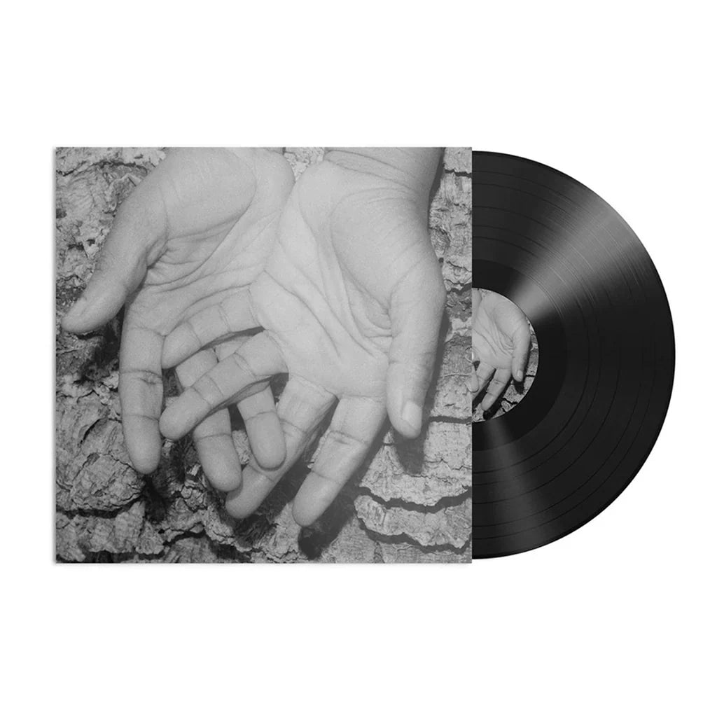 Could We Be More Remixes: Vinyl LP